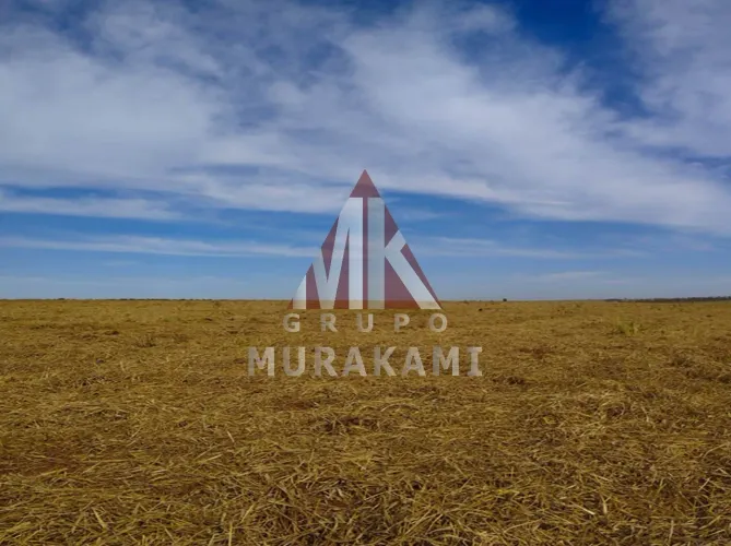 FAZENDA - ITAQUIRAÍ - MS