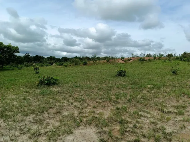 COD521- FAZENDA Á VENDA DE 34 HECTARES EM RIO NEGRO/MS