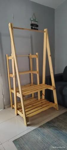Arara Canindé