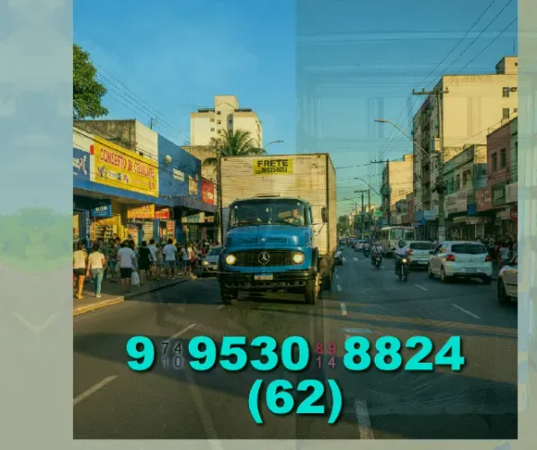 Frete em Jardim Maranata! Transporte seguro e rápido na sua mudança.+62?9?9530?8824