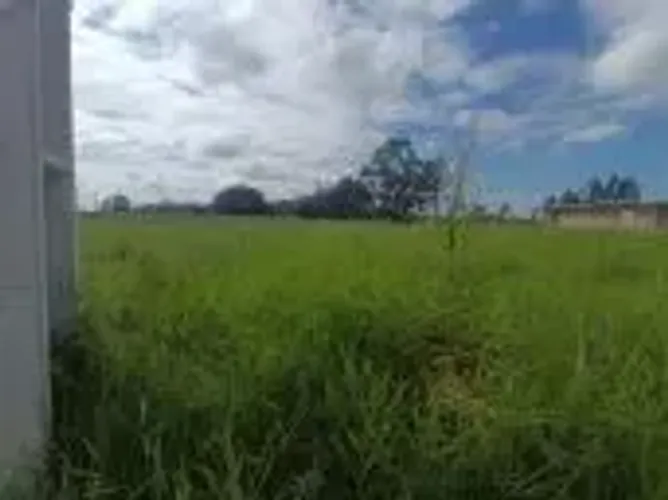 Excelente terreno em Alto grande com 490 m2 plano, proximo ao asfalto