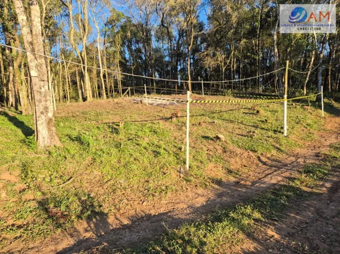 Terreno em Cidade Industrial, Curitiba/PR