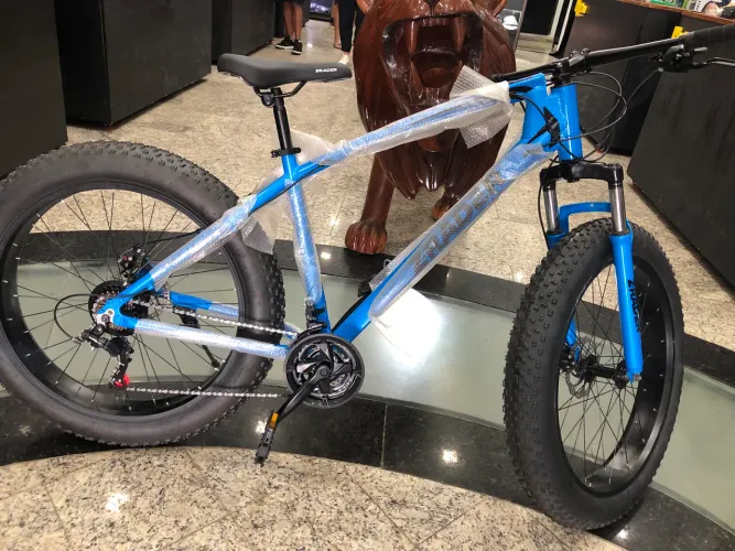 Fat bike