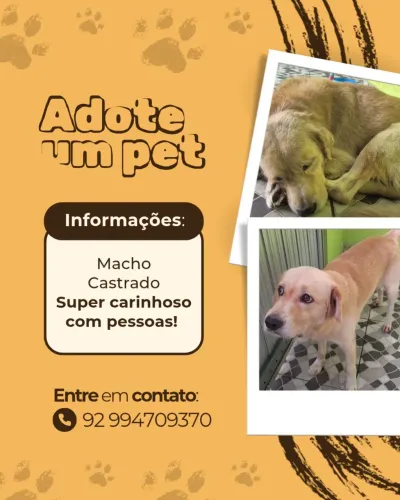 ADOÇÃO URGENTE