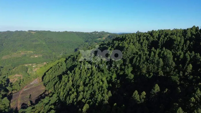 SÍTIO em Nova Petropolis