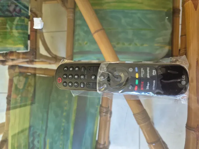 Controle remoto e suporte da TV LG Oled 55"