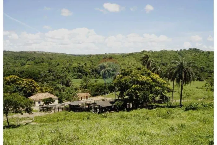 Fazenda venda 460 ha São Gonçalo Abaeté/MG R$6.970.000,00 A 5km BR-040 Km 240