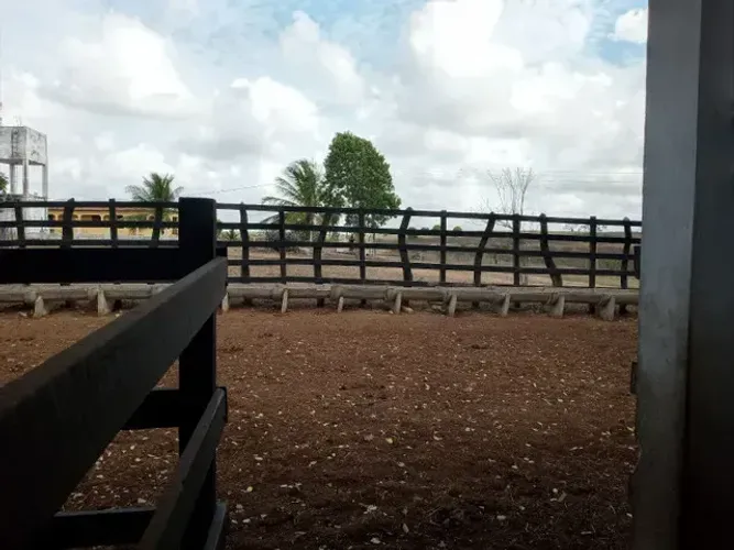 fazenda com 400 hectares na região de Macaiba de porteira fechada