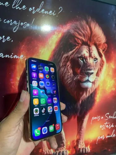 iPhone 13 Pro Max