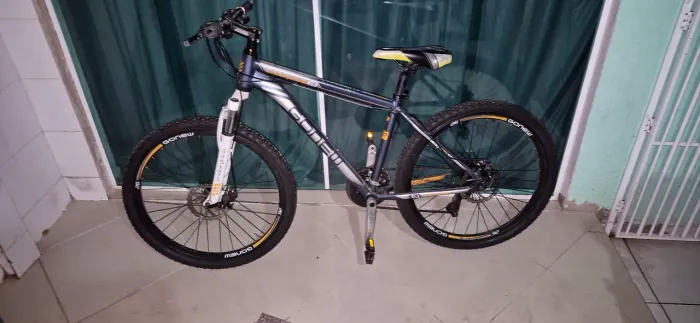 Bicicleta Gonew