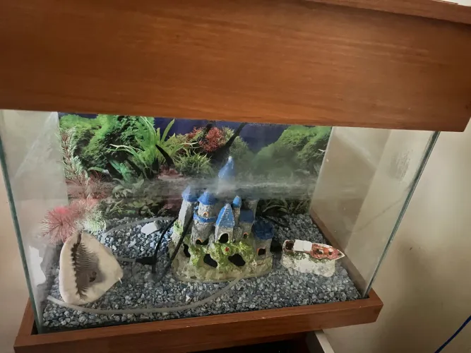 Vendo aquário 40 litros com armário em baixo