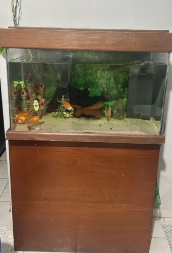 Aquário 160L