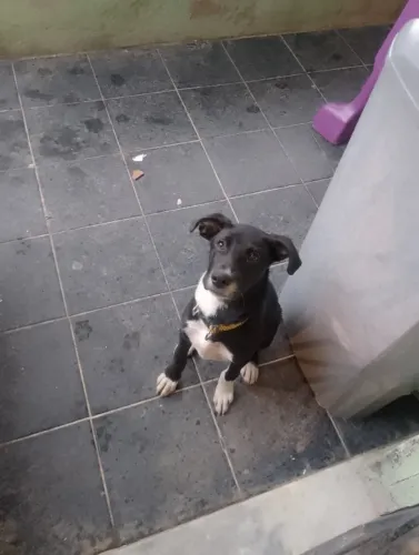 Doação 