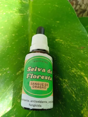 Sangue de dragão
