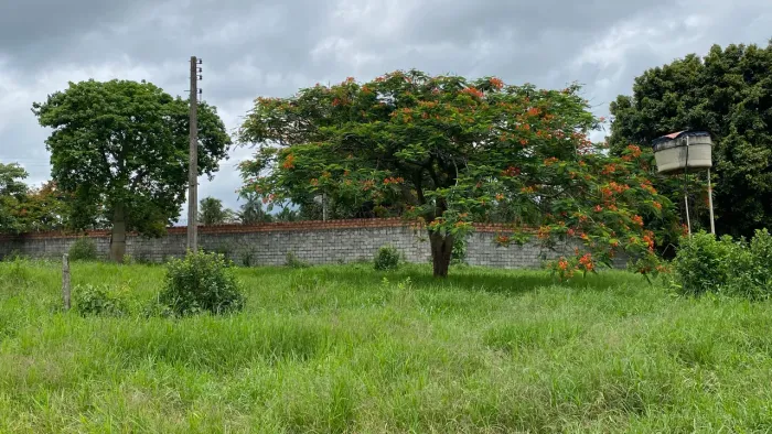 Chácara de 1.100mt em trindade todas com energia!