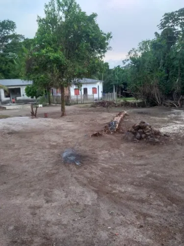 2 Lotes em Mosqueiro