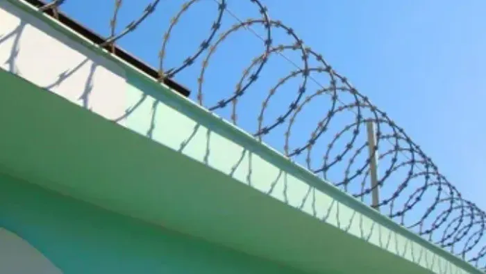 Concertina 45x10m Calha forte