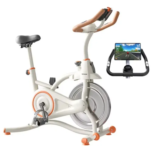 Bicicleta ergometrica