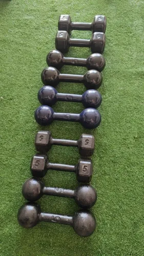 Halteres musculação