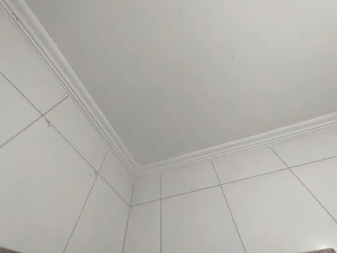 Gesseiro e pedreiro de acabamentos