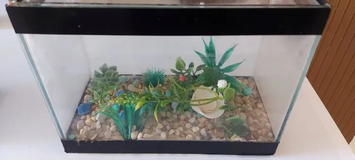 Aquario