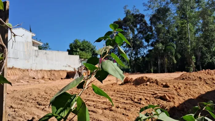 Terreno à venda - Condomínio Capital Ville - Jundiaí SP