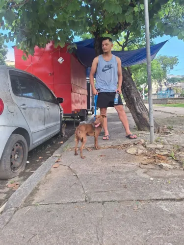 Cachorrinha com 1e 6 meses de idade