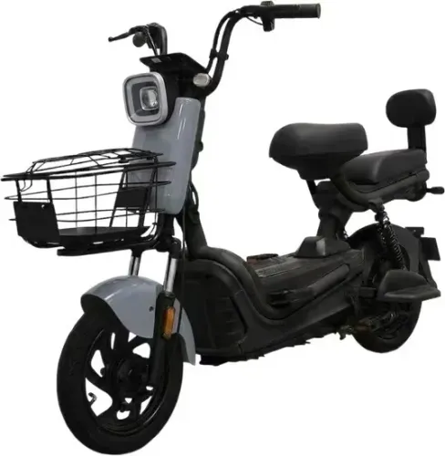 Moto Elétrica Tailg CK-JK30