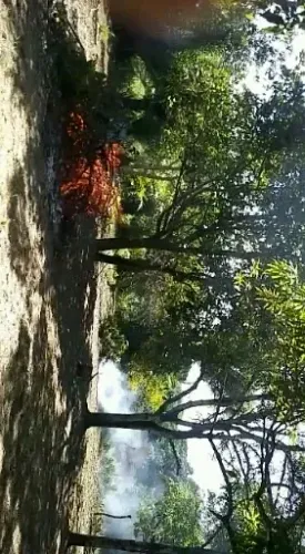 Terreno em Mata de São João 8712m2 com Rio ao lado