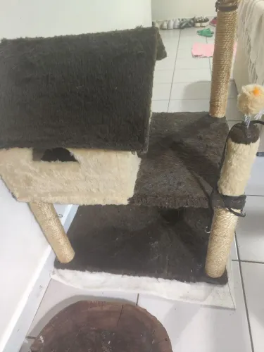 Casinha para gatos com aranhador