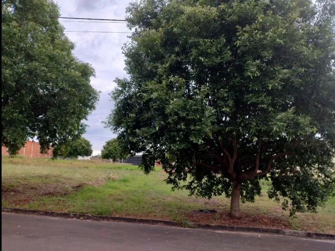 Terreno em Dracena - Jardim dos Pássaross
