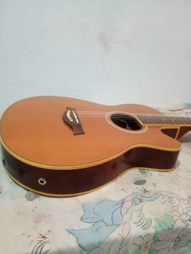 Violão shelter usa