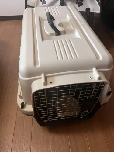 Caixa de Transporte Pet Avião Padrão 