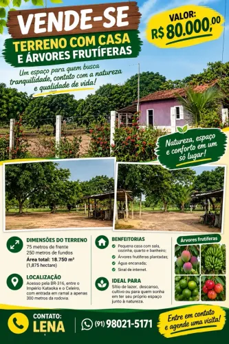 Terreno agrícola com ótima localização