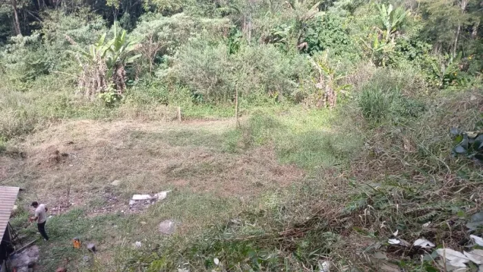 Venda Terreno