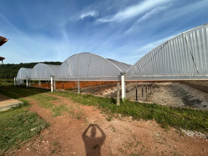 Estufa Agrícola 32x65 metros