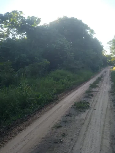 Terreno com igarapé somente venda