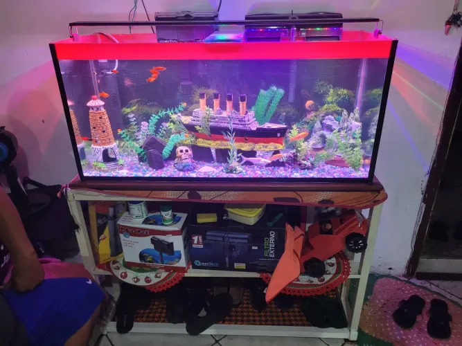aquário completo