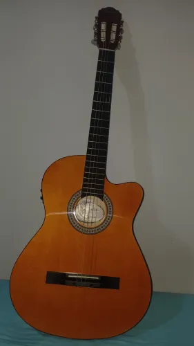 violão  Giannini corda de aço 