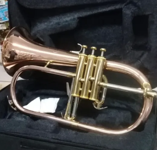 Flugelhorn Eagle