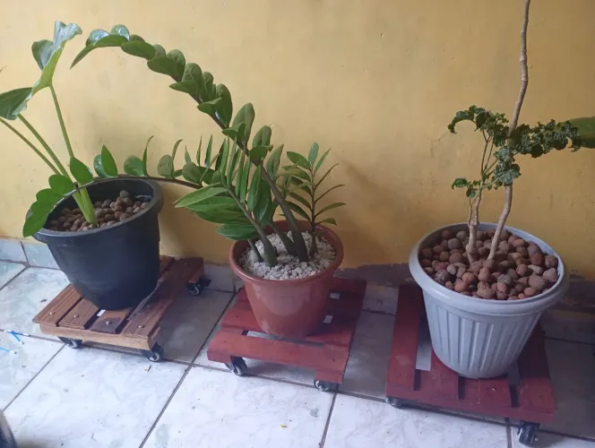 Suporte para plantas
