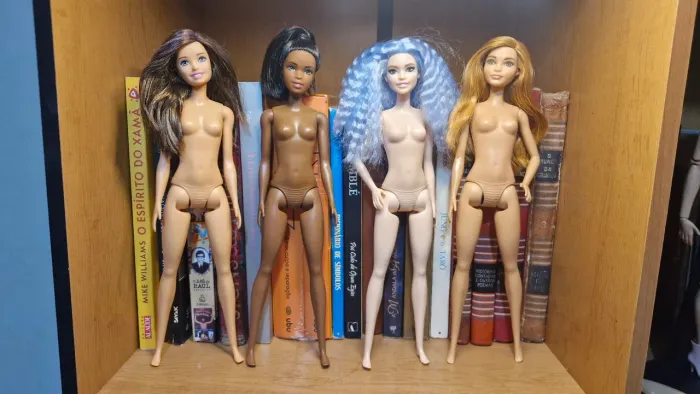 Barbie Fashionistas lote x