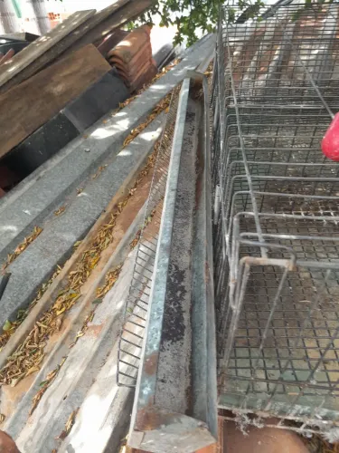 Viveiro codornas e gaiola 