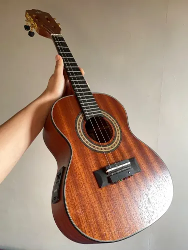 Cavaquinho elétrico ?