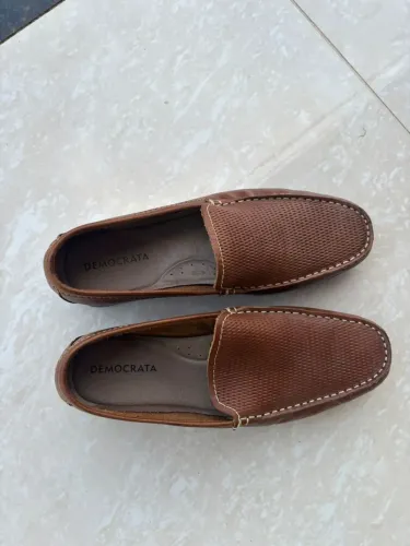 Mocassim democrata