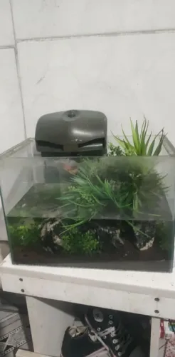 Aquário