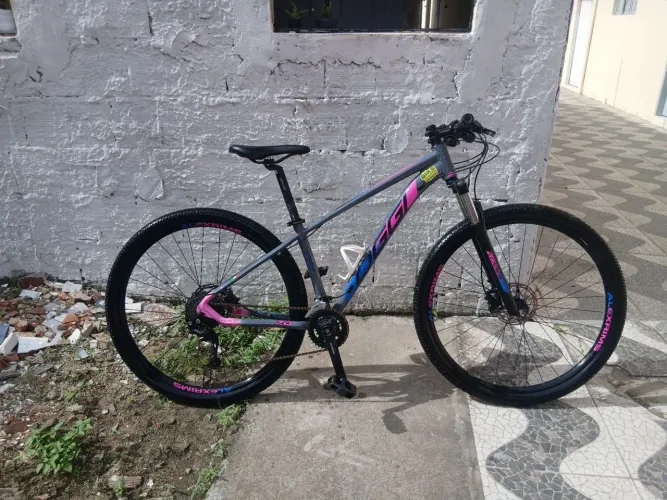 Bike aro 29 oggi 