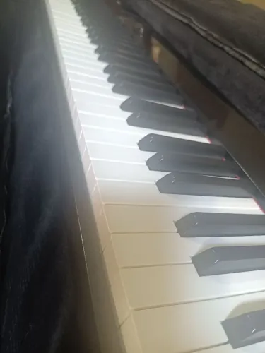 Piano privia Px s3000 