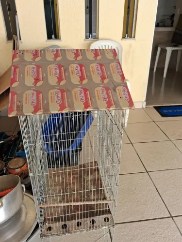 Gaiola para pássaros 