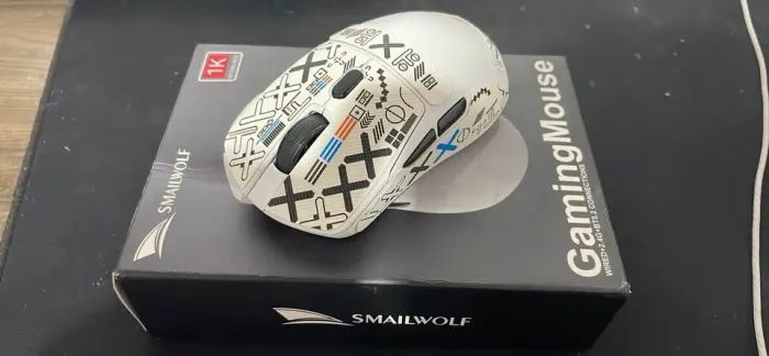 mouse